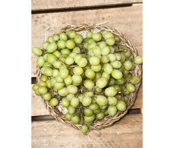 Uva blanca sin semilla