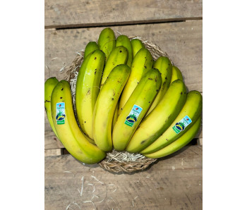 Plátano de Canarias