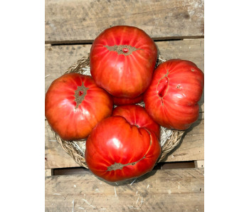 Tomate Feo de Tudela